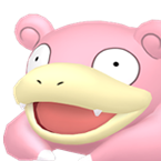 slowpoke head image.